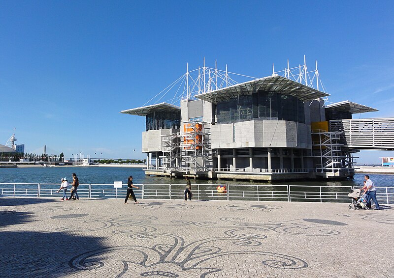 800px-Lisboa-Oceanario.jpg
