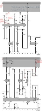 1facb5b552cat.jpg