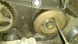 IMG_20250523_161732.jpg