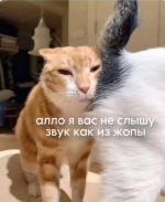 1749196924859.png