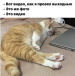 1750158080698.jpg