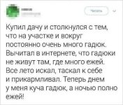i.jpg
