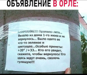 1751401996198.png