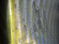 20250909_162052.jpg