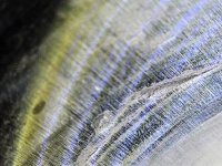 20250909_162120.jpg