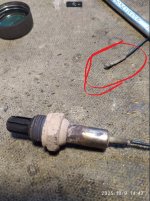 Скриншот 09-10-2025 144808.jpg