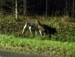IMG_20201105_225705.jpg