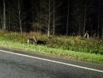 IMG_20201105_225617.jpg