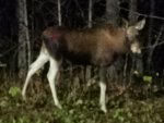 IMG_20201105_225631.jpg