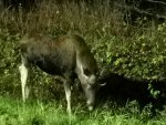 IMG_20201105_225623.jpg