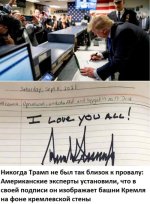 трамп памп памп.jpg