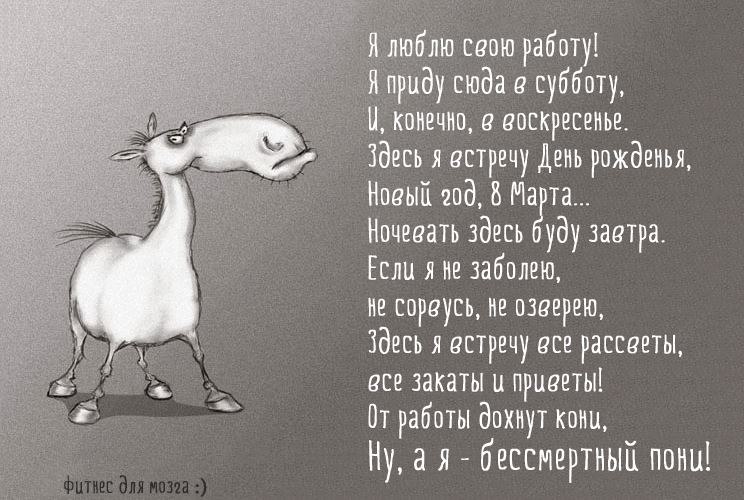 25545935_f4e4ca64dced25a6c9773cab5992e4c4_800.jpg