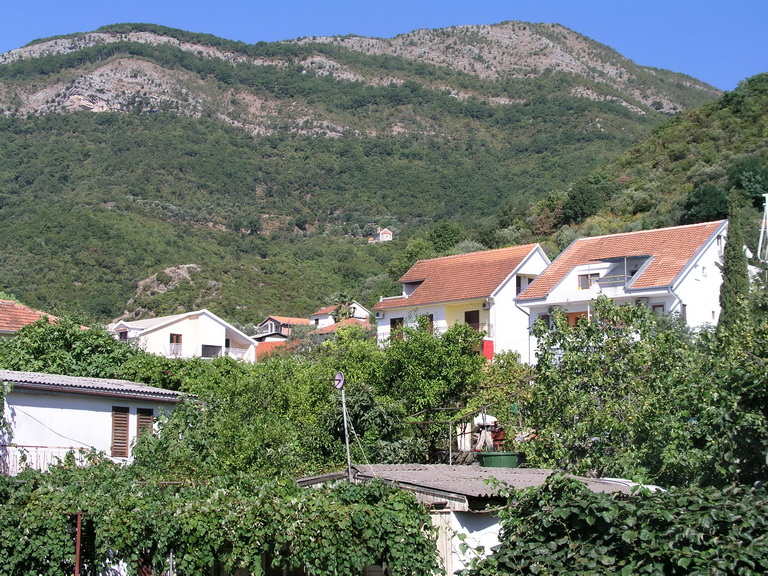 c04.JPG