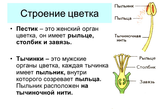 bot6.jpg