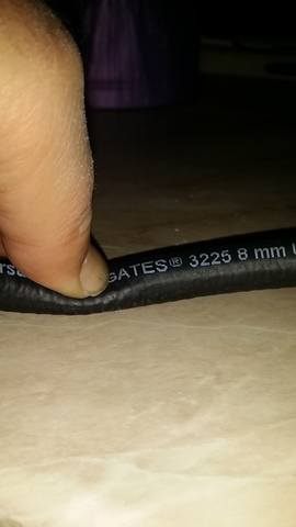 30241027_m.jpg