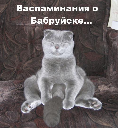 zvrinadpisi_29.jpg