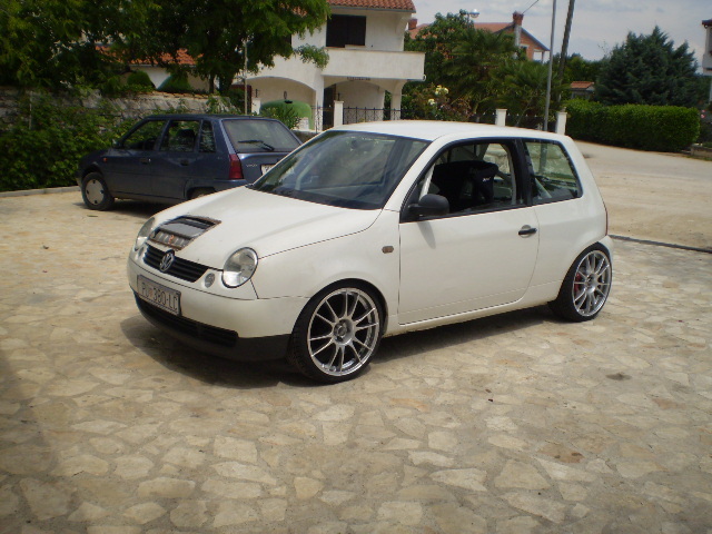 autozoo_210607_lupo14.jpg