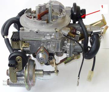 YM40v.jpg