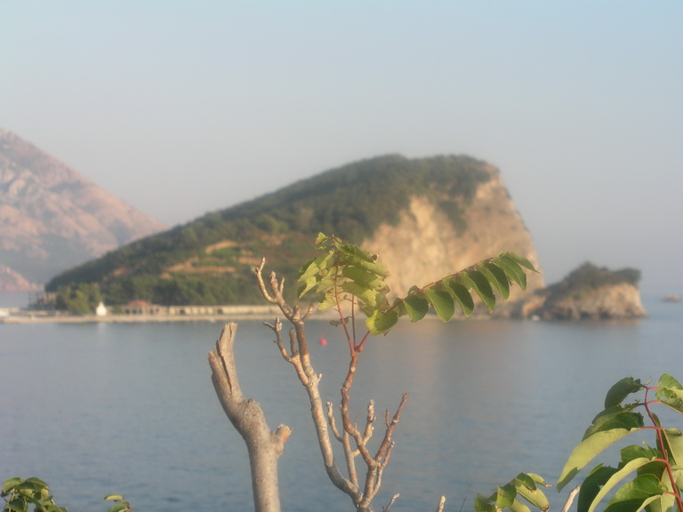 b07.JPG