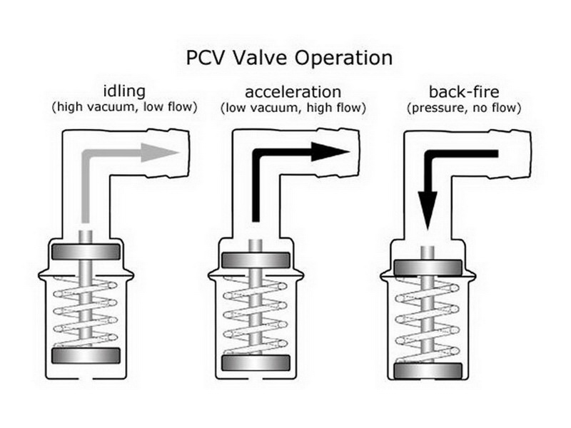 pcv-4.jpg