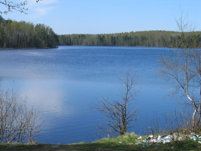 cee641d7.jpg