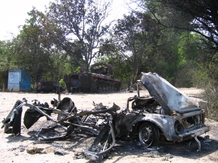 tbet_auto_427.jpg