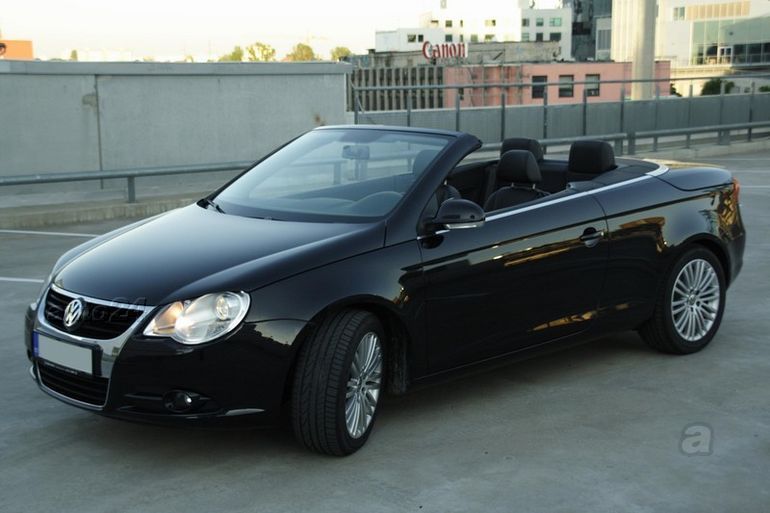 9962412.jpg