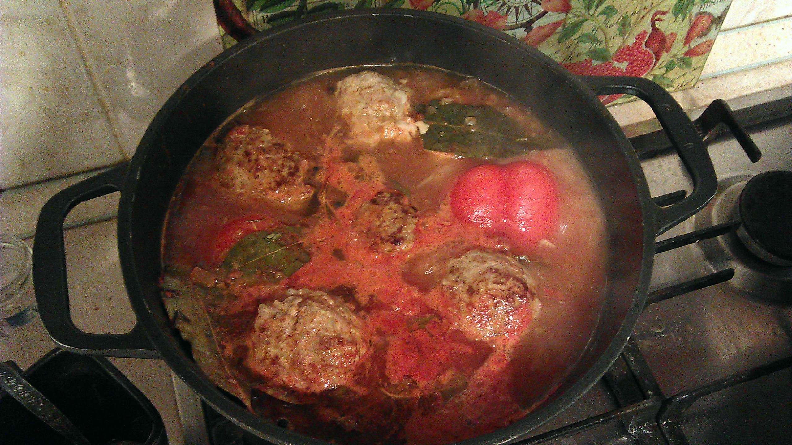 IMAG0154.jpg